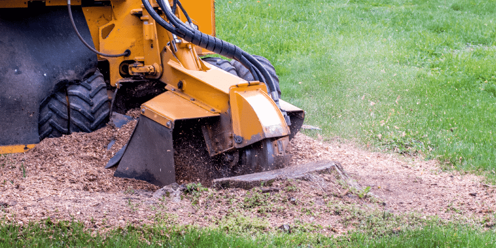 Stump grinding and removal